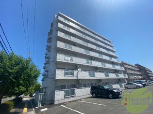 DIO HORI Ⅰの画像