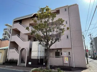 コーポ円山【2階】の外観