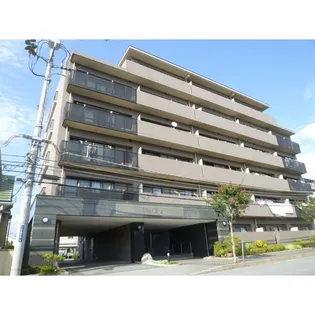 グレースIの画像