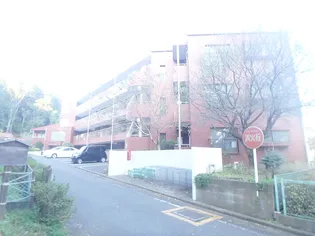 ダイヤモンド聖蹟の画像