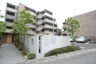 グラシアアルデールの画像