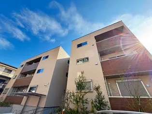 ウィステリア藤の画像