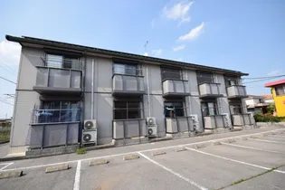 キャットワンの画像