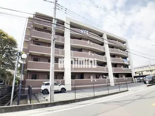 ヴィブレアトリオの画像