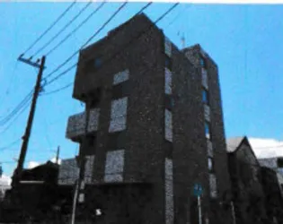 プリムローズの画像