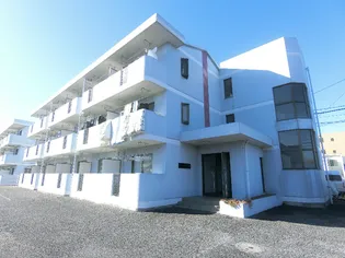 トリニティミツワ2【3階】の外観