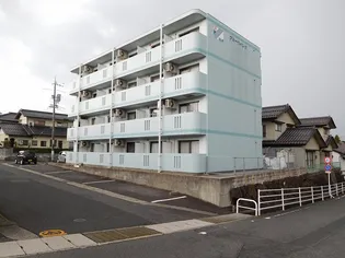 ブルーウイングの画像