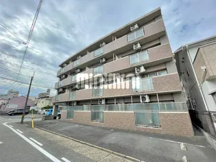 ドルフNTの画像