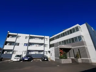 ピオニーの画像