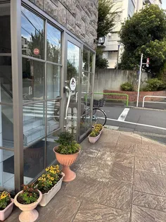 バンビビル 事務所 学習塾【3階】の外観