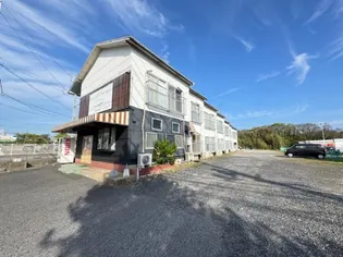 コーエイハイツの画像