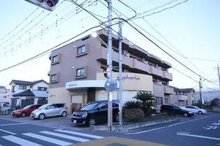 モルティの画像