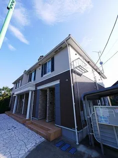 プラナスの画像