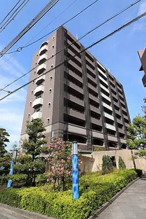 ヴェルデュール カーの画像