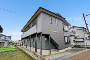 エレガンスの画像