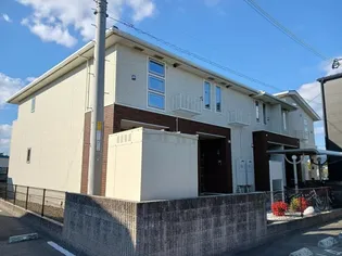 エストレージャの画像