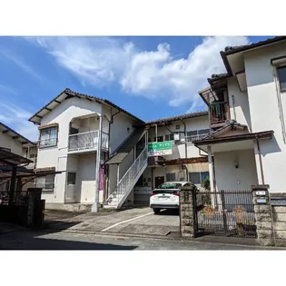 ハイムティアラの画像