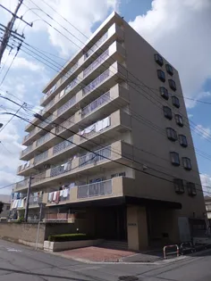 ベルメゾンMー1の画像