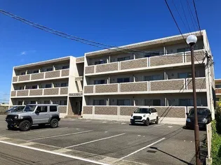 ファルコン王ノ瀬の画像
