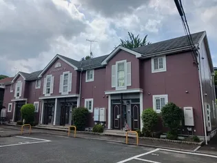 ダンディーライオンBの画像