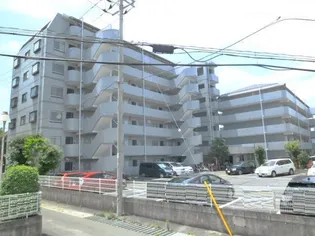 アフィニス原木の画像