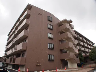 マロニエハイツ今泉【3階】の外観