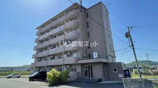 ノアーズアークの画像