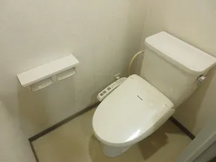 シティ富士見【3階】の内装