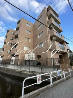 兵庫県加古川市加古川町溝之口【マンション】の外観