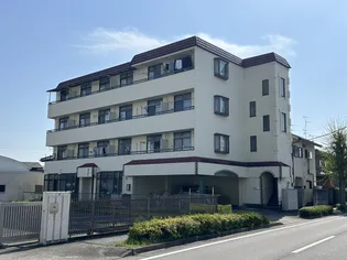 メゾンマンサードの画像