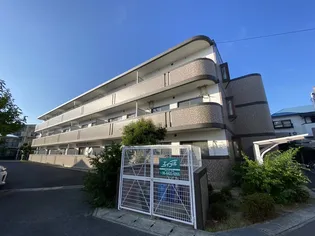 メゾンルミエールの画像