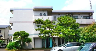 ザマムジークハウスの画像