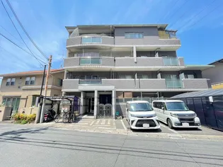 ROYAL M 井口の画像