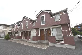 プリムローズの画像