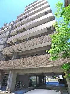 K Mコートの画像