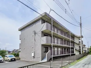 カーサ プリマベーラの画像