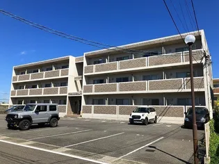 ファルコン王ノ瀬の画像