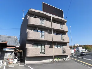 スクエアコートの画像