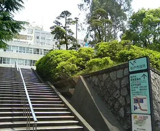 ダンディリオン松戸【1階】の周辺