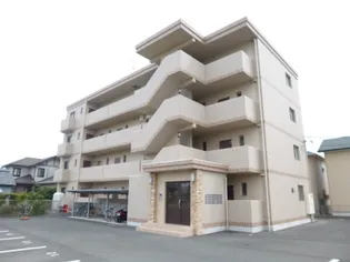 FELICE GATTO YOKOSUKAの画像