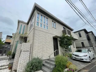 CYPRES VERT KYODOの画像