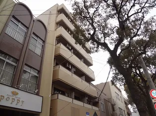 鹿児島県鹿児島市南林寺町【マンション】の外観