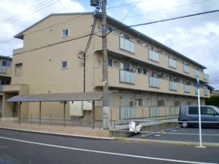 ゴールドパストラルVの画像