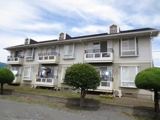 カンパーニュAの画像