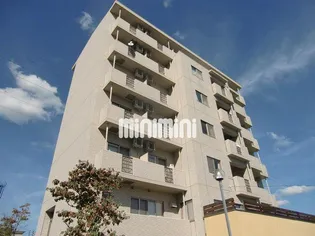 ラズベリー巾下の画像