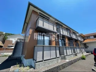 ピッコラの画像