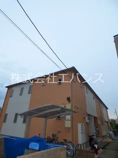 ミニョン Mの画像