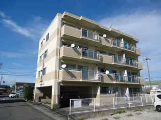 メゾン・シャン・ビラージ多加木【4階】の外観