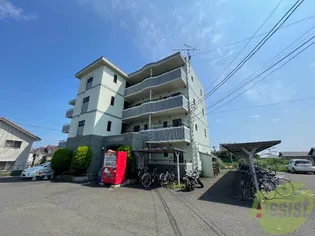 バーシティハウス泉Bの画像