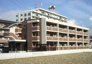 ヴィブレクレールIIの画像